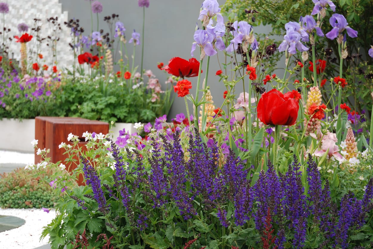 Chelsea Flower Show Garden