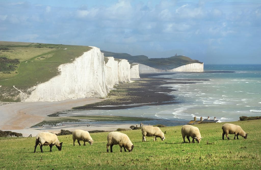Seven Sisters White Cliffs