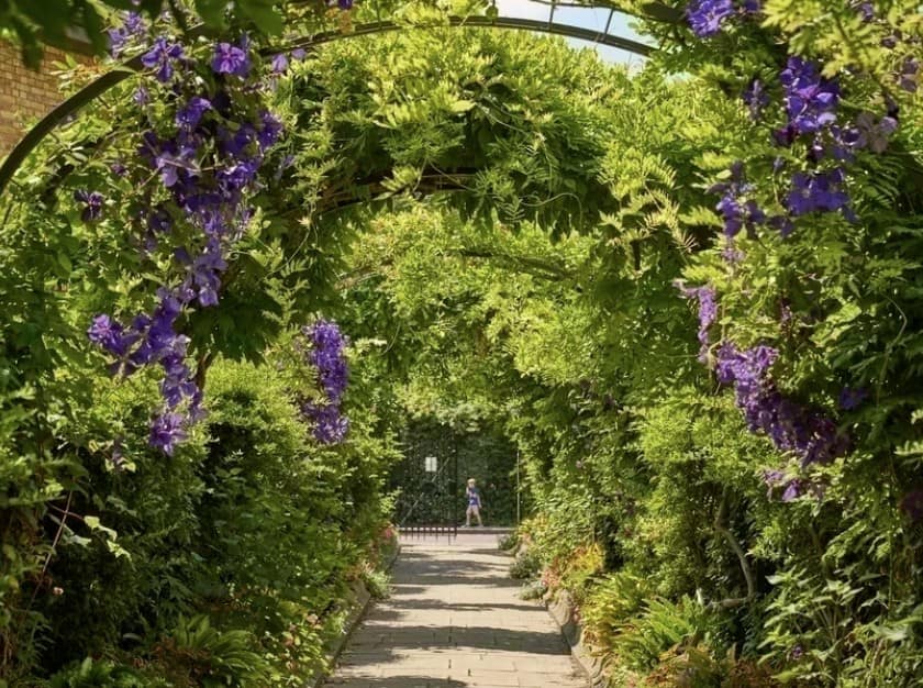 Best autumn walks in London Regent's Park