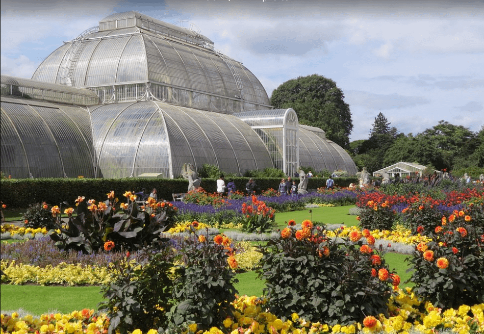 UK's Flower Show