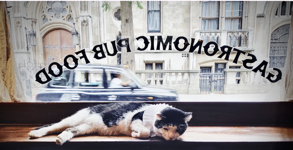 Historic pubs of London Seven Stars in Holborn with the house Cat in a Ruff